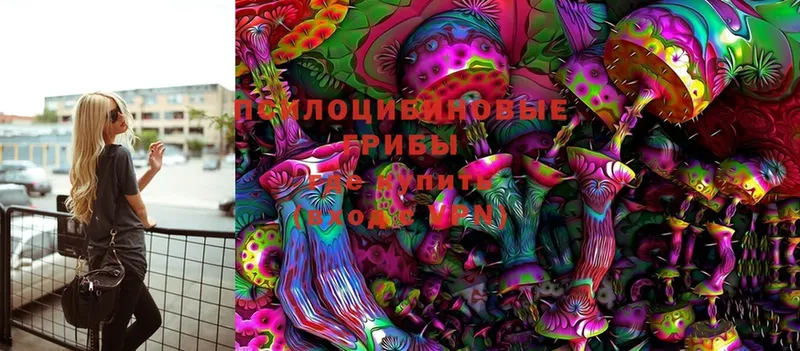 Галлюциногенные грибы Magic Shrooms  кракен tor  Анива 